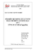 Tìm hiểu hệ thống xử lý nước thải chế biến cấp đông rau quả công suất 300 m3 ngày đêm