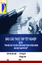Báo cáo thực tập nhà máy đạm phú mỹ.ppt