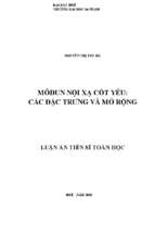 Môđun nội xạ cốt yếu các đặc trưng và mở rộng