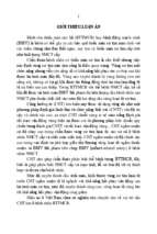 Nghiên cứu giá trị của cộng hưởng từ tim trong chẩn đoán và tiên lượng điều trị bệnh tim thiếu máu cục bộ tt