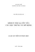 Môđun nội xạ cốt yếu các đặc trưng và mở rộng