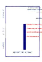 Nghiên cứu vai trò của bão hòa oxy máu tĩnh mạch chủ trên liên tục trong hồi sức huyết động bệnh nhân sốc nhiễm khuẩn
