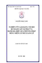 Nghiên cứu lâm sàng, nội soi rò xoang lê tái phát và đánh giá hiệu quả phương pháp đóng miệng lỗ rò xoang lê