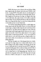 Nghiên cứu tỷ lệ nhiễm, kiểu gen caga, vaca của helicobacter pylori ở bệnh nhân viêm dạ dày mạn người dân tộc thiểu số tỉnh lào cai và đắc lắc tt