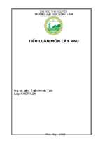 Tiểu luận môn cây rau theo anh chị mô hình tổ chức quản lý sản xuất nào sẽ giúp ngành rau phát triển