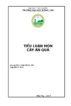 Tiểu luận môn cây ăn quả trình bày ứng dụng của việc sử dụng chất điều hòa sinh trưởng trong sản xuất cây ăn quả