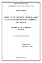 Nghiên cứu tổ chức lãnh thổ công nghiệp tp. hồ chí minh thời kì công nghiệp hoá   hiện đại hoá