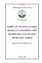 Nghiên cứu tác dụng cải thiện trí nhớ của acid ursolic trên mô hình chuột gây suy giảm trí nhớ thực nghiệm