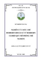 Nghiên cứu điều chế berberin bisulfat từ berberin clorid quy mô phòng thí nghiệm