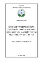 Khảo sát tình hình sử dụng kháng sinh carbapenem trên bệnh nhân lọc máu liên tục tại một số bệnh viện lớn ở hà nội