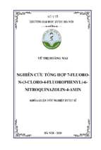 Nghiên cứu tổng hợp 7 fluoro n (3 cloro 4 fluorophenyl) 6 nitroquinazolin   4 amin