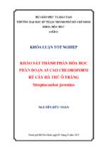 Khảo sát thành phần hóa học phân đoạn a5 cao chloroform rễ cây hà thủ ô trắng streptocaulon juventas