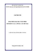 Hoạt động dạy học toán theo nhóm đôi ở các lớp đầu cấp tiểu học