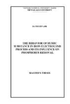 The behavior of humic substance in iron electrolysis process and its influence on phosphorus removal