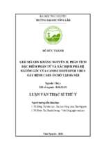 Giải mã gen kháng nguyên h, phân tích đặc điểm phân tử và xác định phả hệ nguồn gốc của canine distemper virus gây bệnh care ở chó tại hà nội