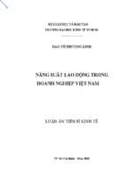 Năng suất lao động trong doanh nghiệp việt nam