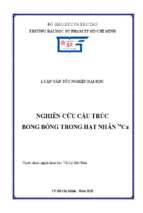 Nghiên cứu cấu trúc bong bóng trong hạt nhân 54ca 