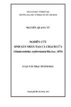 Nghiên cứu sinh sản nhân tạo cá chạch lửa (mastacembelus erythrotaenia bleeker, 1870) 