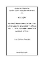 Khảo sát ảnh hưởng của ánh sáng lên hoạt động quang hợp và hô hấp của vi tảo skeletonema subsalsum (a. cleve) bethge 