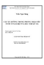 Các xu hướng trong phong trào yêu nước ở nam bộ nửa đầu thế kỷ xx 