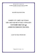 Nghiên cứu thiết lập tế bào tiền thân nội mô từ máu cuống rốn người biểu hiện gen gfp (green gluorescent protein) 