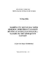 Nghiên cứu một số đặc điểm sinh học, sinh thái của loài ô rô tím (acanthus ilicifolius l.) tại khu dự trữ sinh quyển cần giờ 