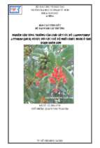Nghiên cứu sự sinh trưởng của cây cóc đỏ (lumnitzera littorea (jack) voigt) với các chế độ muối khác nhau ở giai đoạn vườn ươm
