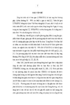 Nghiên cứu so sánh kết quả điều trị ung thư biểu mô tế bào gan bằng phương pháp tắc mạch sử dụng hạt vi cầu gắn hóa chất với tắc mạch hóa dầu