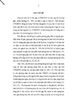 Nghiên cứu so sánh kết quả điều trị ung thư biểu mô tế bào gan bằng phương pháp tắc mạch sử dụng hạt vi cầu gắn hóa chất với tắc mạch hóa dầu