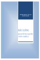 Bài giảng kinh tế tài nguyên thiên nhiên 2