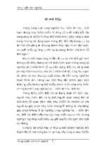 Một số giải pháp nhằm thúc đẩy hoạt động xuất khẩu hàng may mặc tại công ty cổ phần may lê trực