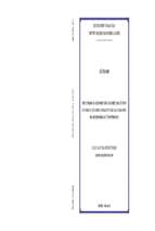 Thực trạng và giải pháp nâng cao hiệu quả sử dụng vốn đầu tư xây dựng cơ bản từ ngân sách nhà nước của huyện sông lô, tỉnh vĩnh phúc.