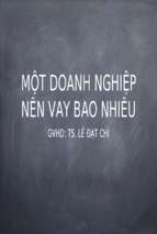 Một doanh nghiệp nên vay bao nhiêu (Nhóm 8)