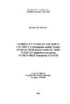 Phân lập vi khuẩn nội sinh ở cây diếp cá (houttuynia cordata thunb.) có hoạt tính kháng khuẩn trên vi khuẩn staphylococcus aureus từ mụn nhọt (furuncle) ở người