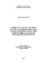 Phân lập vi khuẩn nội sinh ở cây diếp cá (houttuynia cordata thunb.) có hoạt tính kháng khuẩn trên vi khuẩn staphylococcus aureus từ mụn nhọt (furuncle) ở người