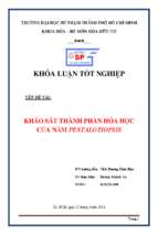 Khảo sát thành phần hóa học của nấm pestalotiopsis.