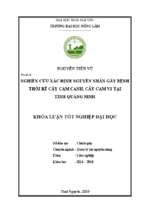 Nghiên cứu xác định nguyên nhân gây bệnh thối rễ cây cam canh, cây cam v2 tại tỉnh quảng ninh​.