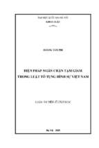 Biện pháp ngăn chặn tạm giam trong luật tố tụng hình sự việt nam​