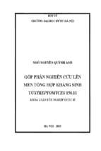 Góp phần nghiên cứu lên men tổng hợp kháng sinh từ streptomyces 156.11​