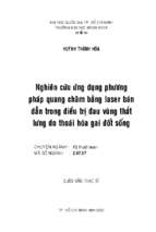 Nghiên cứu ứng dụng phương pháp quang châm bằng laser bán dẫn trong điều trị đau vùng thắt lưng do thoái hóa gai đốt sống