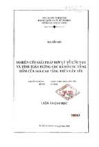 Nghiên cứu giải pháp hợp lý về cấu tạo và tính toán tường cọc bản ở các tầng hầm của nhà cao tầng trên đất yếu