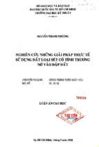 Nghiên cứu những giải pháp thực tế sử dụng đất loại sét có tính trương nở vào đập đất