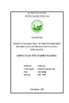 Nghiên cứu đa dạng thực vật thân gỗ trong rừng đặc dụng trên địa bàn xã trường hà, huyện hà quảng, tỉnh cao bằng