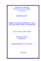 Nghiên cứu sử dụng phụ phẩm dứa ử chua có bổ sung urê làm thức ăn cho bò thịt 