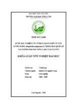 Bước đầu nghiên cứu bảo quản gỗ thông từ dịch chiết cây xương rồng (euphorbia antiquorum l) tại trường đại học nông lâm thái nguyên