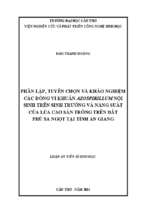 Phân lập tuyển chọn và khảo nghiệm các dòng vi khuẩn azospirillum nội sinh trên sinh trưởng và năng suất của lúa cao sản trồng trên đất phù sa ngọt tại tỉnh an giang