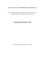 đất trồng trọt