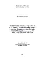 Nghiên cứu vi khuẩn nội sinh ở cây diếp cá có hoạt tính kháng khuẩn trên vi khuẩn staphylococcus aureus từ mụn nhọt ở người