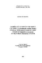 Nghiên cứu vi khuẩn nội sinh ở cây diếp cá có hoạt tính kháng khuẩn trên vi khuẩn staphylococcus aureus từ mụn nhọt ở người