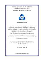 Evaluation of the situation and proposal of solutions for reducing of chemical incidents impacting on environment and health safety in jacobi carbons vietnam company